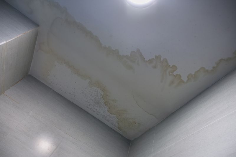 Ceiling Repair Service in Wilmington, NC